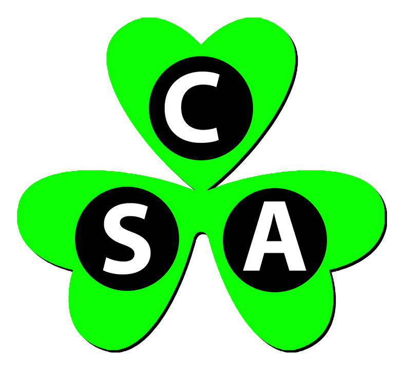 Clover presentation of the CSA Triangle Profile Personality Type